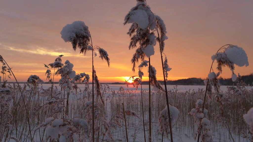 Klooga järvel loojang