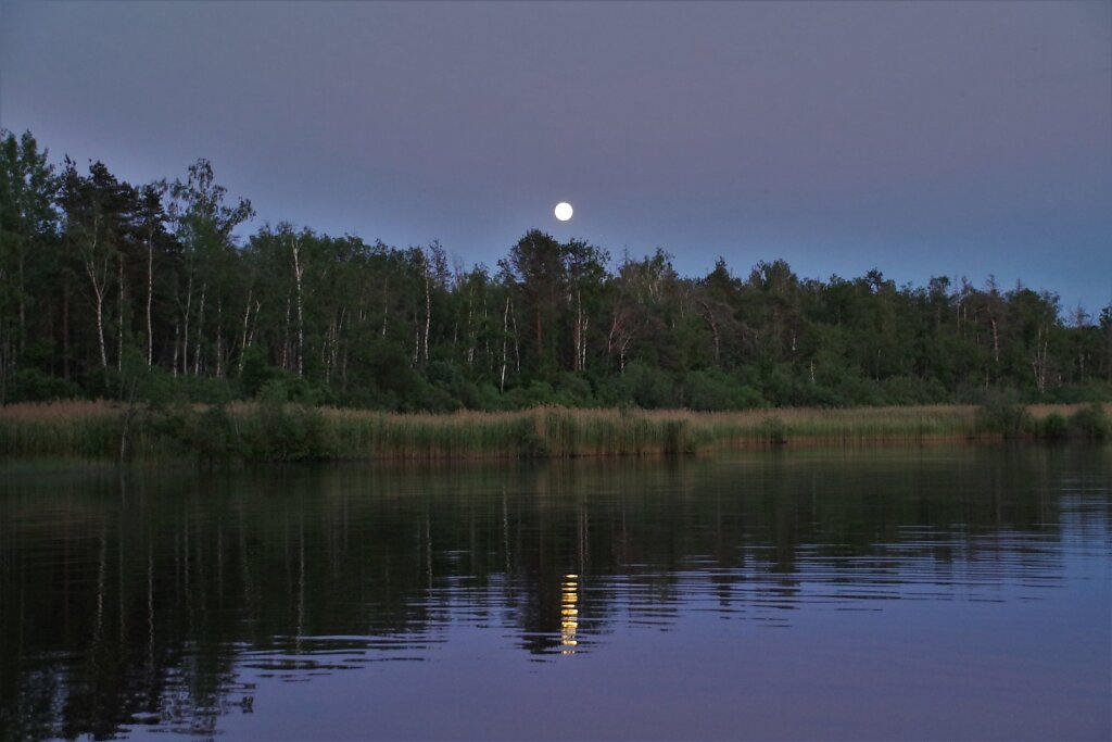 Kesköine järvekallas