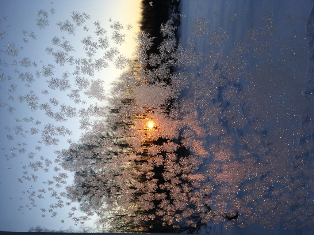 Jäälilled aknal